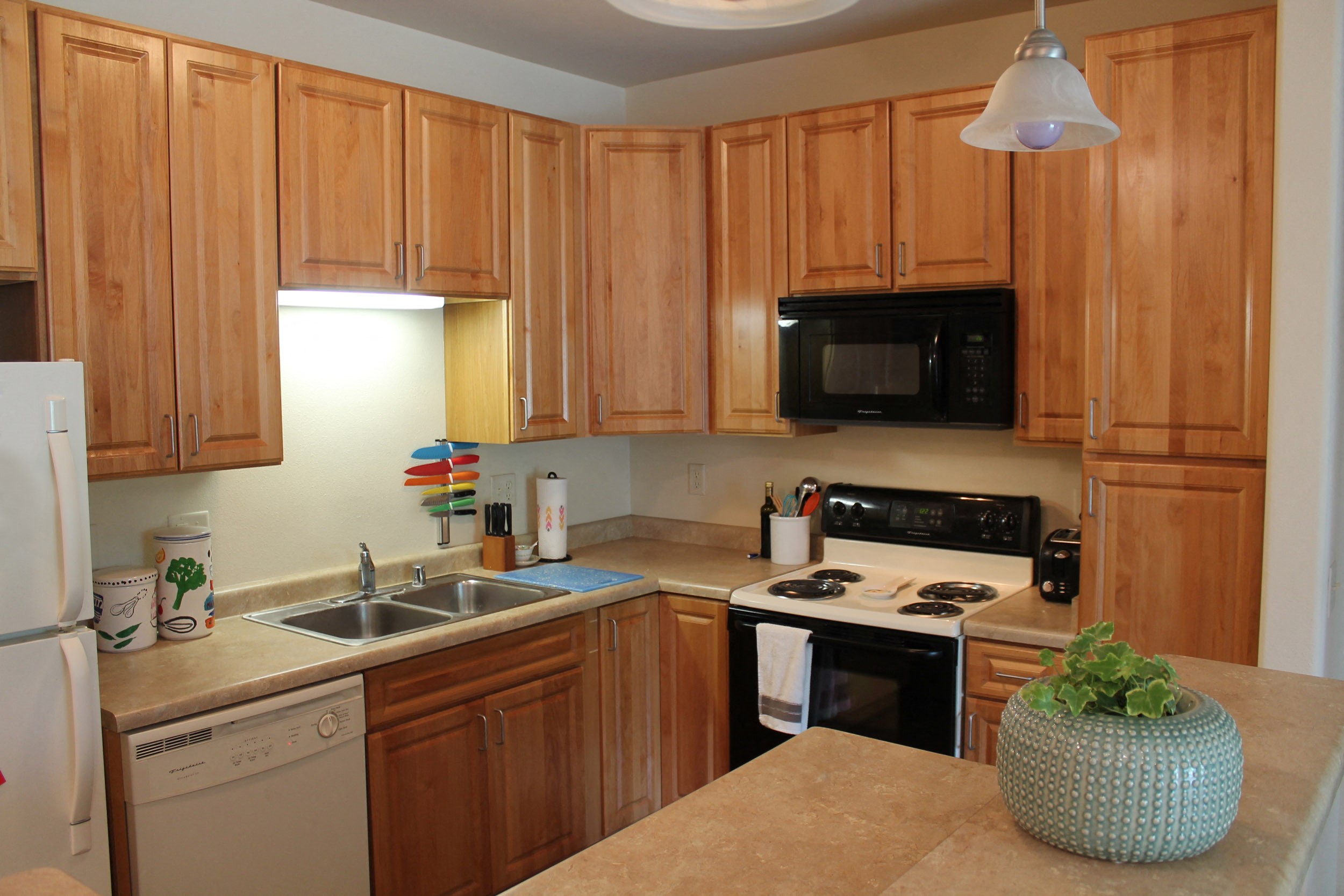Gallery Photo 13
